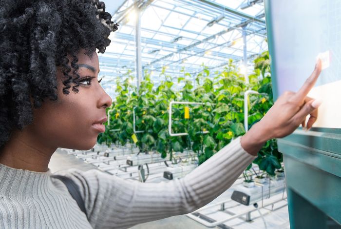 Black women touching a touch screen in an eco-friendly small enterprise.